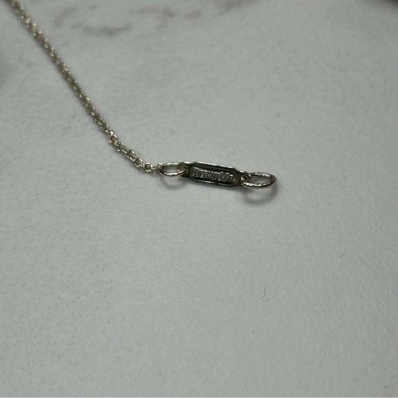 Tiffany & Co x Paloma Picasso Capricorn Necklace Pendant Combo - Picture 6 of 13